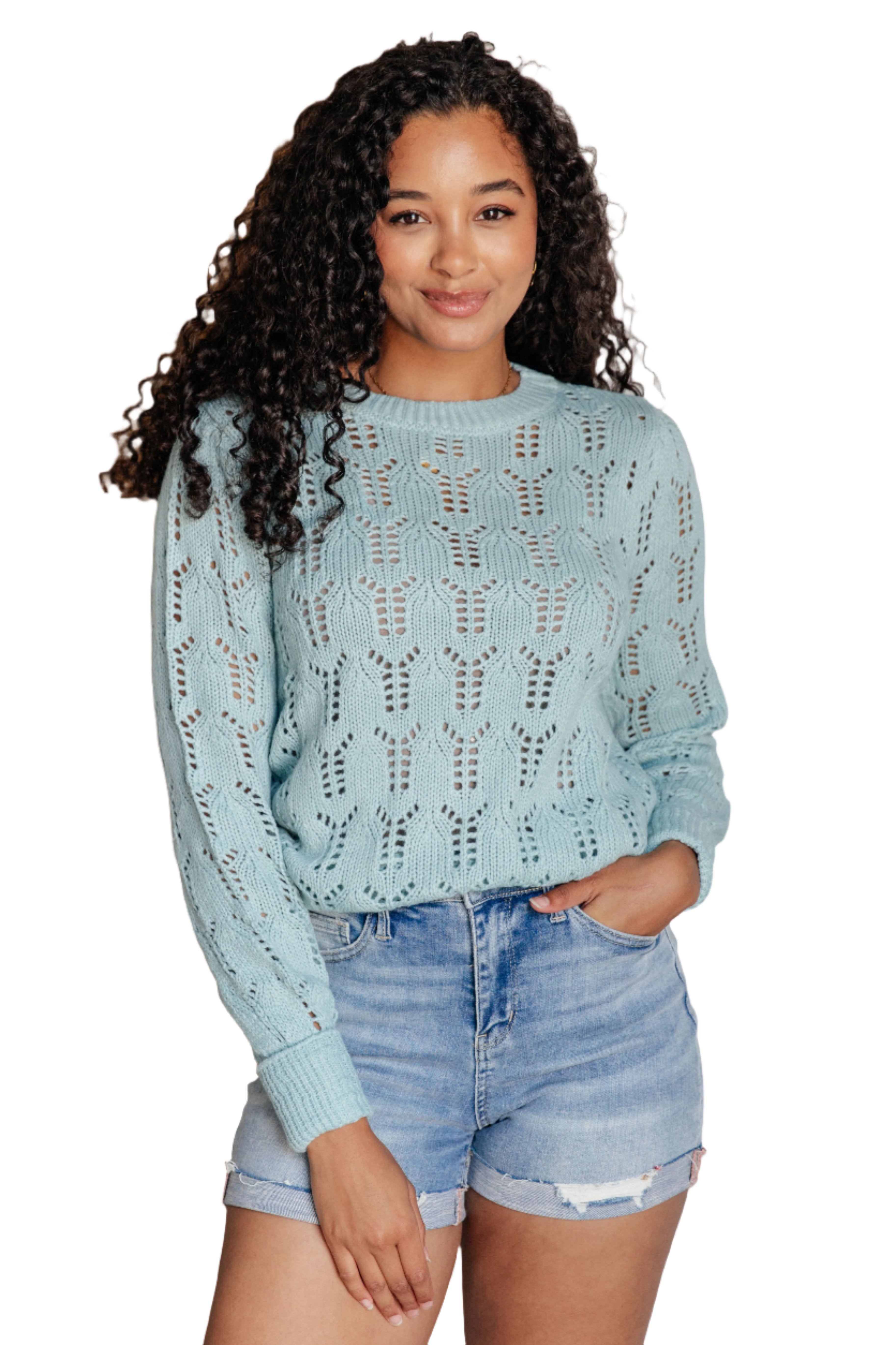 Hole in One Sheer Pointelle Knit Sweater on Nia